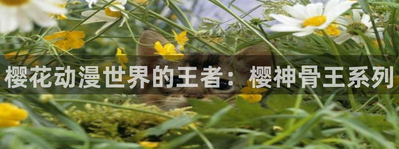 歪歪漫画专注动漫的门户网站：樱花动漫世界的王者：樱神骨王系列