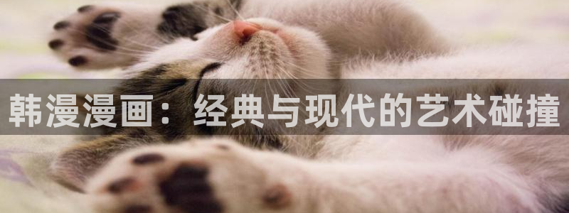 歪歪漫画网官网入口：韩漫漫画：经典与现代的艺术碰撞