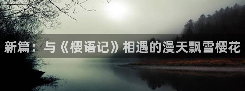 歪歪漫画正版网：新篇：与《樱语记》相遇的漫天飘雪樱花