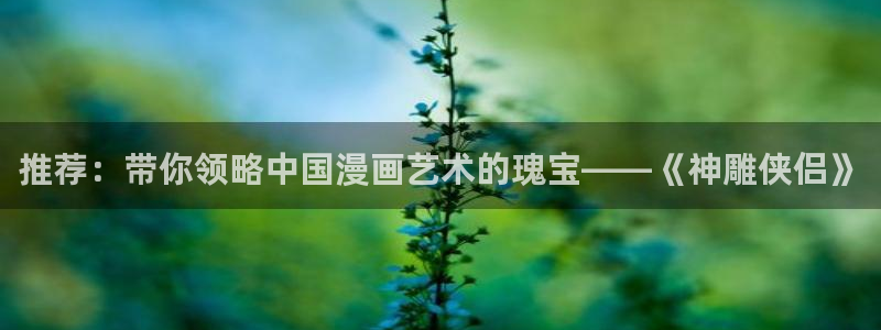 歪歪漫画专注动漫的门户网站：推荐：带你领略中国漫画艺术的瑰宝——《神雕侠侣》