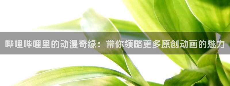 歪歪漫画：哔哩哔哩里的动漫奇缘：带你领略更多原创动画的魅力