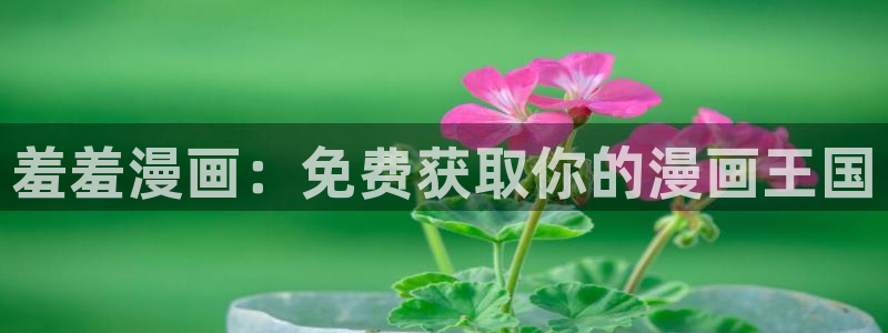 韩国漫画平台kakaopage：羞羞漫画：免费获取你的漫画王国
