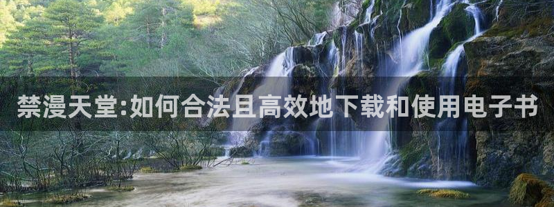 stagenehind韩漫免费观看：禁漫天堂:如何合法且高效地下载和使用电子书