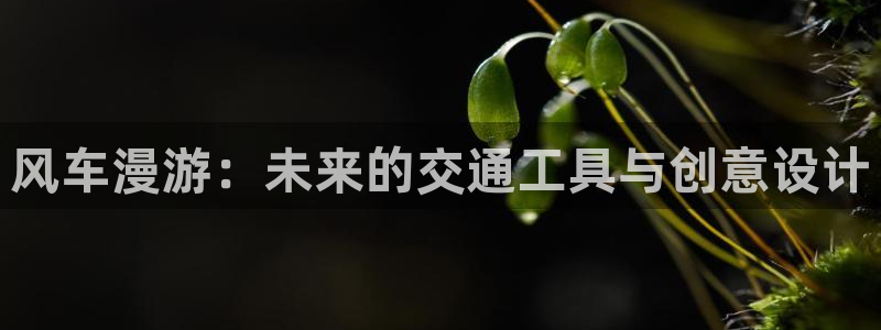 managereader漫画官网入口：风车漫游：未来的交通工具与创意设计