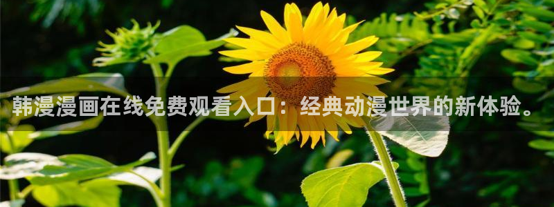 kakaopage韩漫官网：韩漫漫画在线免费观看入口：经典动漫世界的新体验。