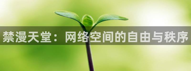 歪歪漫画专注动漫的门户网站：禁漫天堂：网络空间的自由与秩序