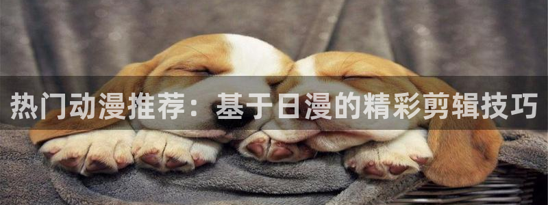韩国漫画平台kakaopage：热门动漫推荐：基于日漫的精彩剪辑技巧